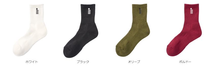 カラーバリエーション